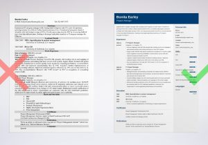 Mba Resume Samples University Of Delaware Career Services Program Manager Resume Examples 2022 [template & Guide]
