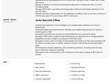 Mccombs School Of Business Sample Resume Executive Resume Samples All Experience Levels Resume.com …