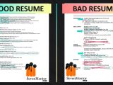 Mcsa Knowledge Basic Skills and Resume Sample How to Write A Good Resume Sevenmentor