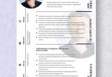 Media and Community Relations Coordinator Resume Sample Free Free Media Relations Coordinator Resume Template – Word …