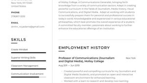 Media Arts College Instructor Resume Sample College Professor Resume Example & Writing Guide Â· Resume.io