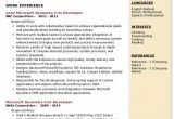 Microsoft Dynamics Crm Developer Sample Resume Microsoft Dynamics Crm Developer Resume Samples