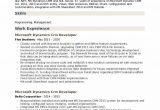 Microsoft Dynamics Crm Developer Sample Resume Microsoft Dynamics Crm Developer Resume Samples