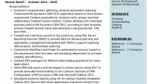 Microsoft Dynamics Crm Developer Sample Resume Microsoft Dynamics Crm Developer Resume Samples