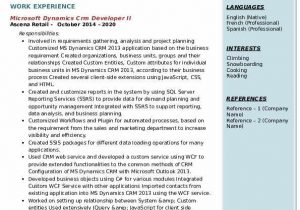 Microsoft Dynamics Crm Developer Sample Resume Microsoft Dynamics Crm Developer Resume Samples