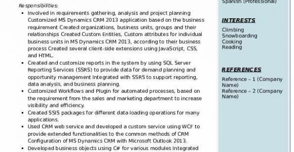 Microsoft Dynamics Crm Developer Sample Resume Microsoft Dynamics Crm Developer Resume Samples