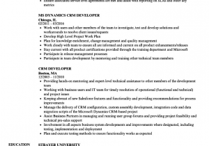 Microsoft Dynamics Crm Developer Sample Resume Microsoft Dynamics Crm Developer Resume the Best