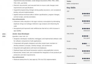 Mid Level Net Developer Resume Sample Java Developer Resume Sample Mid Level to Senior