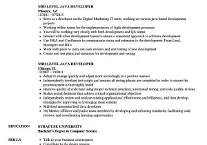Mid Level Net Developer Resume Sample Mid Level Java Developer Resume Samples