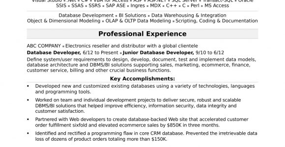 Mid Level Net Developer Resume Sample Sample Resume for A Midlevel It Developer
