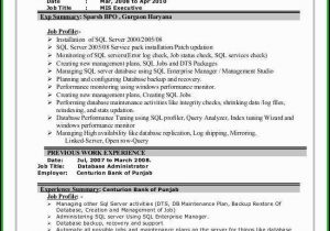 Mis Executive Resume Sample In India Mis Sample Resume