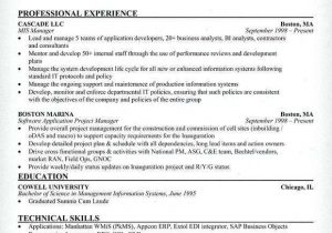 Mis Executive Resume Sample In India Mis Sample Resume