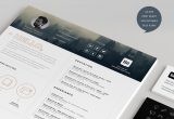 Motion Graphics Resume Template Free Download Free Resume Template   Icons (self Promotion) On Behance