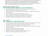 Nail Technician Resume Cover Letter Sample Nail Technician Cover Letter Examples Sample 200 Cover
