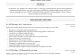 Net Developer Sample Resume with Financial Company Experience Net Developer Resume & Writing Guide  17 Templates 2022