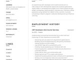 Net Developer Sample Resume with Financial Company Experience Net Developer Resume & Writing Guide  17 Templates 2022