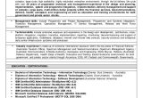 Net Developer with Cyberark Sample Resume Resume (shawn Nash) 21092015