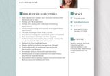 Net Developer with Excel Macros Sample Resume Free Free Excel Programmer Resume Template – Word, Apple Pages …