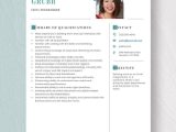 Net Developer with Excel Macros Sample Resume Free Free Excel Programmer Resume Template – Word, Apple Pages …