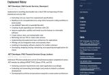 Net Developer with Excel Macros Sample Resume Net Developer Resume & Writing Guide  17 Templates 2022