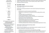 Net Developer with Excel Macros Sample Resume Net Developer Resume & Writing Guide  17 Templates 2022
