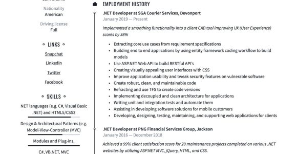 Net Developer with Excel Macros Sample Resume Net Developer Resume & Writing Guide  17 Templates 2022
