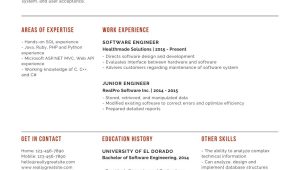 Net Developer with Main Frames Sample Resume Simple Professional software Engineer Resume – Templates by Canva