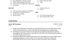 Net Developer with Web Api 2 X Sample Resume Github – Aershov24/101-developer-resume-cv-templates: the Only …
