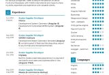 Net Front End Developer Sample Resume Senior Front-end Developer Cv Template 2022 Writing Tips …