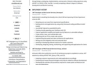Net Full Stack Developer Resume Sample Net Developer Resume & Writing Guide  17 Templates
