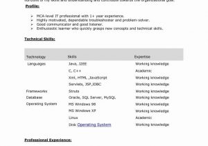 Net Sample Resume for 3 Years Experience 3 Year Experience Resume format Resume Templates
