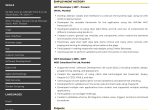 Net Sample Resume for Maintenance Projects Sample Resume Of .net Developer with Template & Writing Guide …