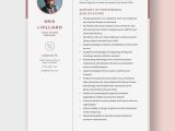 Net with Main Frames Sample Resume Systems Engineer Resume Templates – Design, Free, Download …