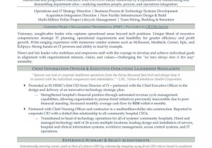 Network Manager at Hospital Resume Samples Chief Information Officer Resume Example Cio Resume Sample