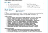 Network Security Analyst Resume Sample Objective Palo Alto Network Engineer Cv Example   Writing Guide [get Noticed]