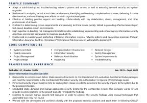 Network Security Project Manager Sample Resume Information Security Specialist Resume Examples & Template (with …