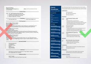 New Early Childhood Teacher Resume Samples Preschool Teacher Resume Example [lancarrezekiqpre K Job Skills]