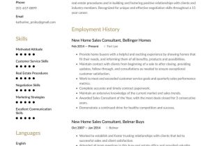 New Homes Sales Consultant Resume Sample New Home Sales Consultant Resume Example & Writing Guide Â· Resume.io