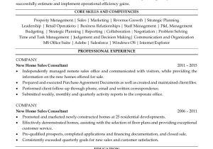 New Homes Sales Consultant Resume Sample New Home Sales Consultant Resume Sample & Description Resume …