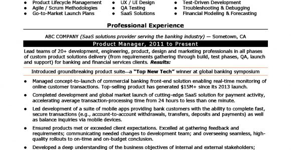 New Product Development Manager Resume Sample Product Manager Resume Sample Monster.com