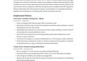 New Truck Driver Resume Sample Canada Truck Driver Resume Examples & Writing Tips 2022 (free Guide)
