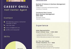 No Experience Customer Service Resume Sample No Experience Call Center Resume Template – Indesign, Word …