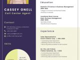 No Experience Help Desk Resume Sample No Experience Call Center Resume Template – Indesign, Word …