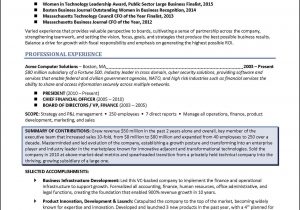 Non Profit Board Member Resume Sample Board Of Directors Resume Example for Corporate or Nonprofit