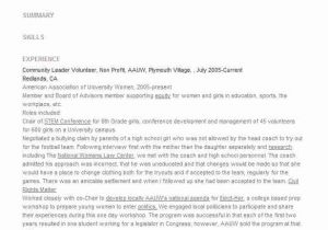 Non Profit Board Member Resume Sample Non Profit Board Member Resume Example Play & Learn