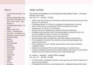 Non Profit Board Member Resume Sample Non Profit Board Member Resume Example Play & Learn