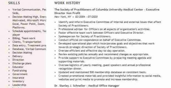 Non Profit Board Member Resume Sample Non Profit Board Member Resume Example Play & Learn