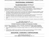Nurse Sample Resume with Job Description Licensed Practical Nurse Resume Sample
