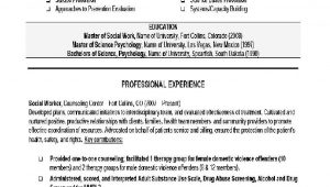 Nursing Home social Worker Resume Sample Nursing Home social Worker Resume October 2021