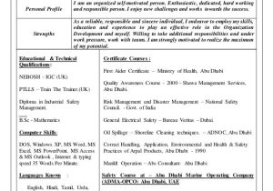 Occupational Health and Safety Officer Resume Samples assignment Help Line Homework Help
